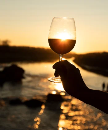 Bilinçli Şarap İçme Sanatı: Keyifli Bir Deneyim